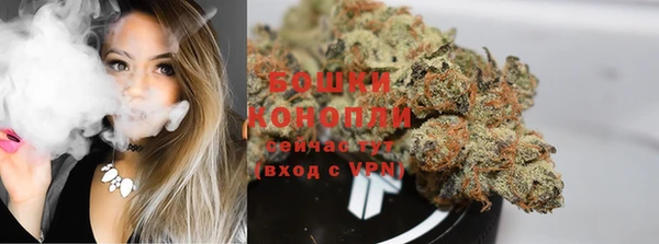 ПСИЛОЦИБИНОВЫЕ ГРИБЫ Бронницы