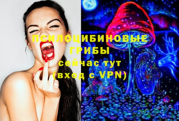 ПСИЛОЦИБИНОВЫЕ ГРИБЫ Бронницы